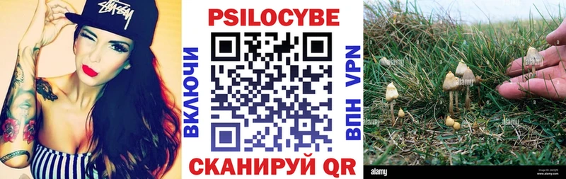 Галлюциногенные грибы Cubensis  кракен рабочий сайт  Суворов 